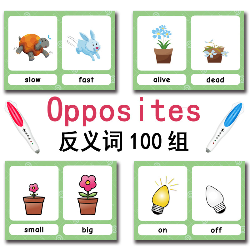 100 Gruppi di Carte Flash con  - Game Educational For Kids Free recensione e prezzo