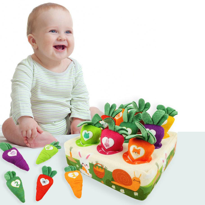 Gioco Montessori Raccolta dell - Kids Educational Box recensione e prezzo