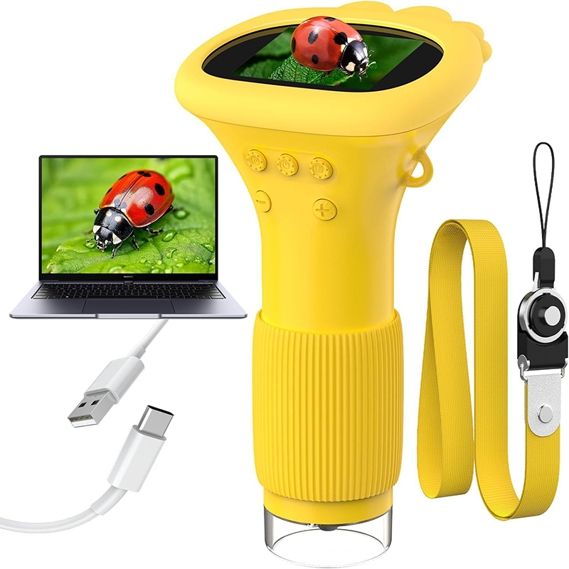 Microscopio Digitale Portatile - Kids Definition Of Education recensione e prezzo